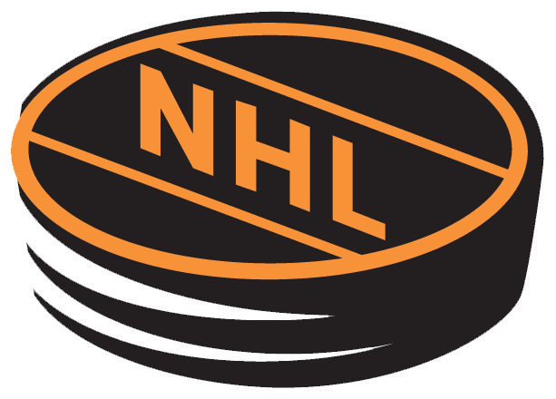 National Hockey League 1994-2005 Alternate Logo iron on transfers for T-shirts